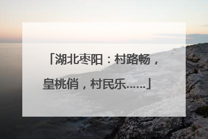 湖北枣阳：村路畅，皇桃俏，村民乐……