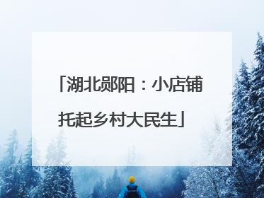 湖北郧阳：小店铺托起乡村大民生