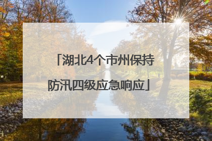 湖北4个市州保持防汛四级应急响应