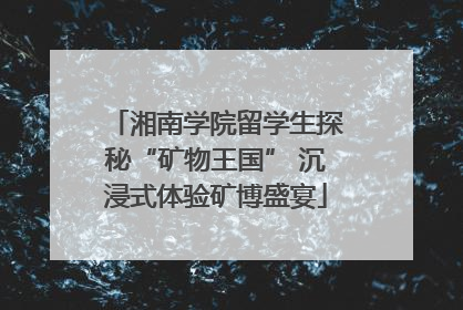 湘南学院留学生探秘“矿物王国” 沉浸式体验矿博盛宴