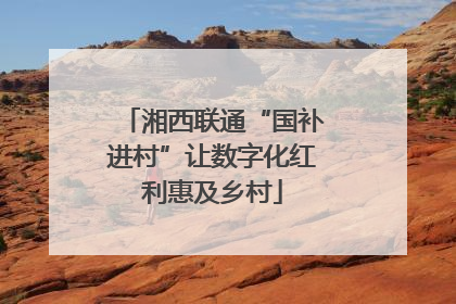湘西联通“国补进村”让数字化红利惠及乡村