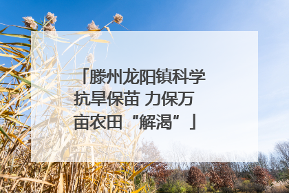 滕州龙阳镇科学抗旱保苗 力保万亩农田“解渴”