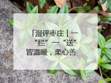 漫评枣庄｜一“拦”一“送”皆温暖，柔心善意映枣城