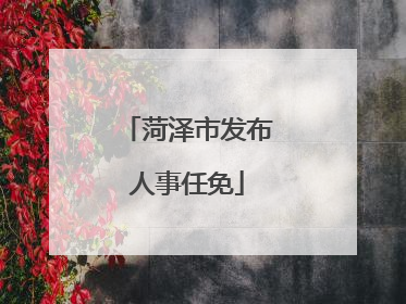 菏泽市发布人事任免