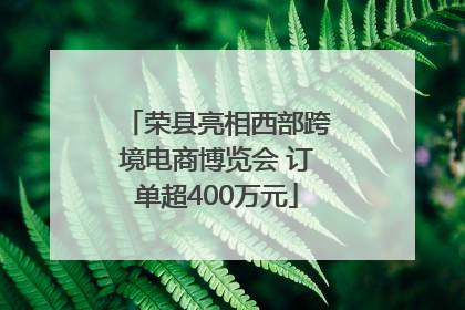 荣县亮相西部跨境电商博览会 订单超400万元