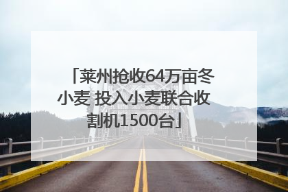 莱州抢收64万亩冬小麦 投入小麦联合收割机1500台
