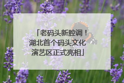 老码头新腔调！湖北首个码头文化演艺区正式亮相