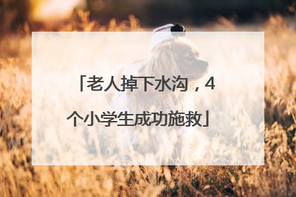 老人掉下水沟，4个小学生成功施救