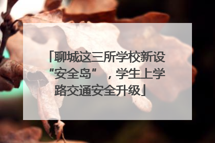 聊城这三所学校新设“安全岛”，学生上学路交通安全升级