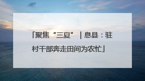 聚焦“三夏”｜息县：驻村干部奔走田间为农忙