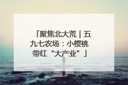 聚焦北大荒｜五九七农场：小樱桃带红“大产业”