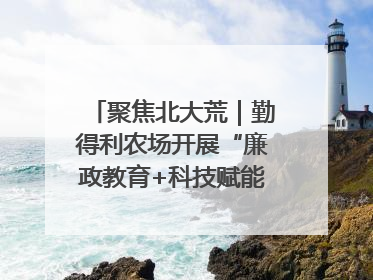 聚焦北大荒｜勤得利农场开展“廉政教育+科技赋能”主题党日活动