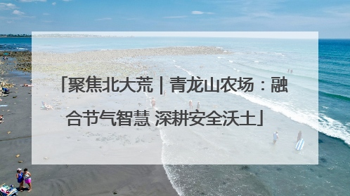 聚焦北大荒｜青龙山农场：融合节气智慧 深耕安全沃土