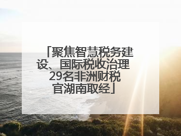 聚焦智慧税务建设、国际税收治理 29名非洲财税官湖南取经