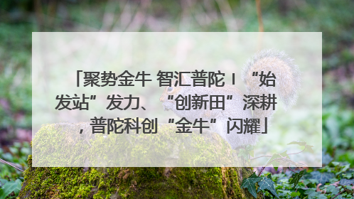 聚势金牛 智汇普陀〡“始发站”发力、“创新田”深耕，普陀科创“金牛”闪耀