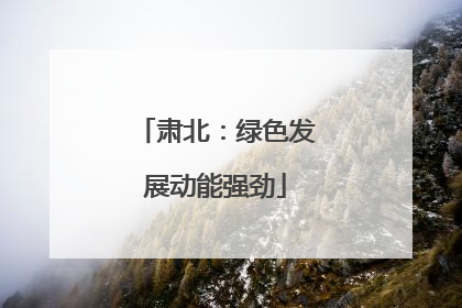 肃北：绿色发展动能强劲