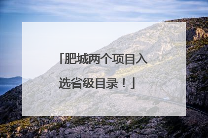 肥城两个项目入选省级目录！