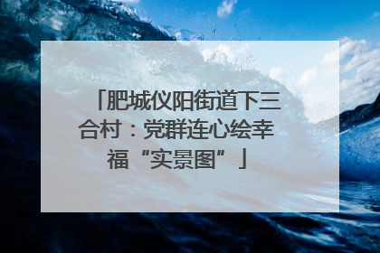 肥城仪阳街道下三合村：党群连心绘幸福“实景图”