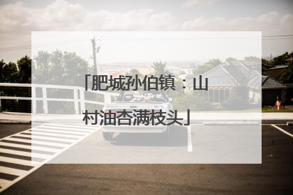 肥城孙伯镇：山村油杏满枝头