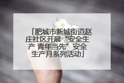 肥城市新城街道赵庄社区开展“安全生产 青年当先”安全生产月系列活动