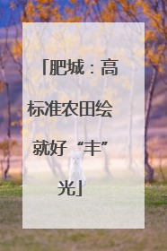 肥城：高标准农田绘就好“丰”光