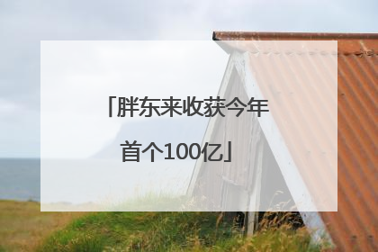 胖东来收获今年首个100亿