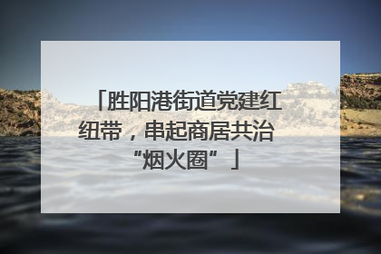 胜阳港街道党建红纽带，串起商居共治 “烟火圈”