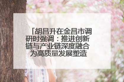 胡昌升在金昌市调研时强调：推进创新链与产业链深度融合 为高质量发展塑造新动能新优势