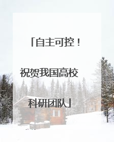 自主可控！祝贺我国高校科研团队