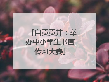 自贡贡井：举办中小学生书画传习大赛