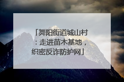 舞阳街道城山村：走进苗木基地，织密反诈防护网