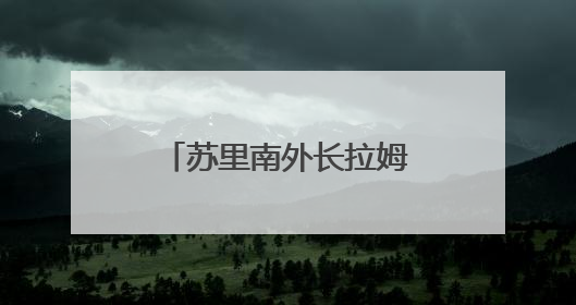 苏里南外长拉姆丁正式出任美洲国家组织秘书长