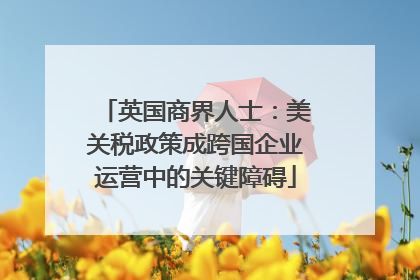 英国商界人士：美关税政策成跨国企业运营中的关键障碍