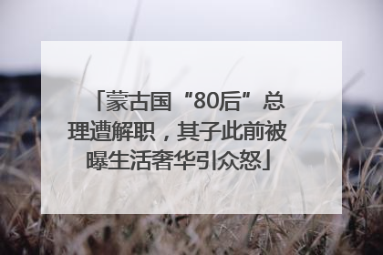 蒙古国“80后”总理遭解职，其子此前被曝生活奢华引众怒
