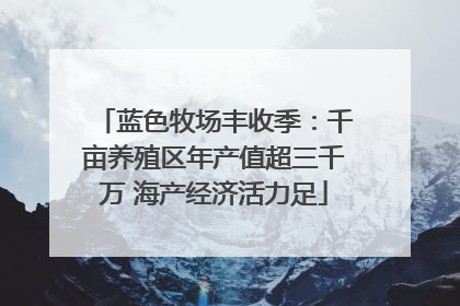 蓝色牧场丰收季：千亩养殖区年产值超三千万 海产经济活力足