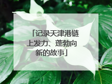 记录天津港链上发力、蓬勃向新的故事