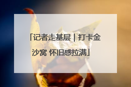 记者走基层｜打卡金沙窝 怀旧感拉满