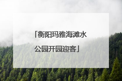 衡阳玛雅海滩水公园开园迎客