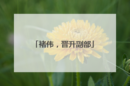 褚伟，晋升副部