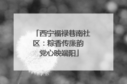 西宁福禄巷南社区：粽香传廉韵 党心映端阳
