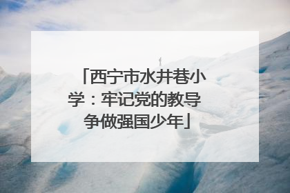 西宁市水井巷小学：牢记党的教导 争做强国少年