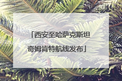 西安至哈萨克斯坦奇姆肯特航线发布