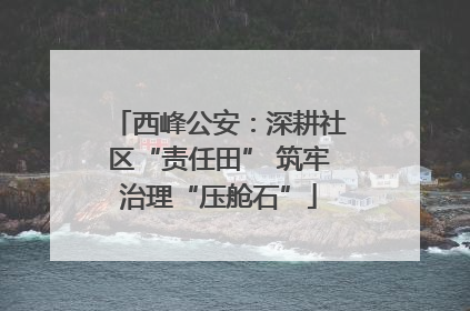 西峰公安：深耕社区“责任田” 筑牢治理“压舱石”