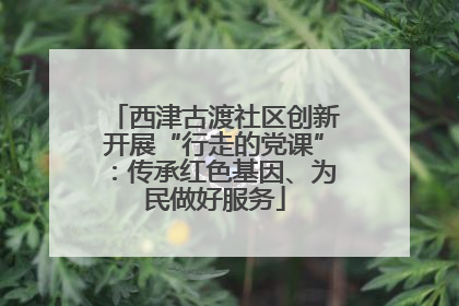 西津古渡社区创新开展“行走的党课”：传承红色基因、为民做好服务