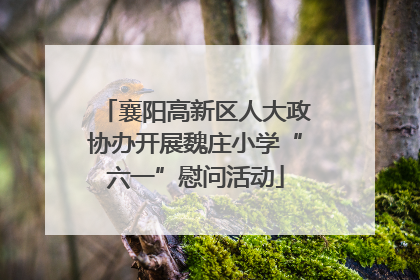 襄阳高新区人大政协办开展魏庄小学“六一”慰问活动