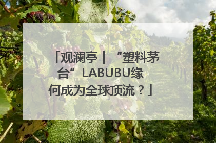观澜亭｜“塑料茅台”LABUBU缘何成为全球顶流？