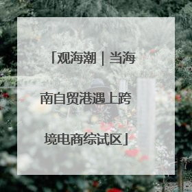 观海潮｜当海南自贸港遇上跨境电商综试区