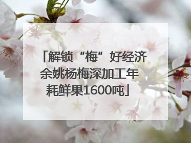 解锁“梅”好经济 余姚杨梅深加工年耗鲜果1600吨