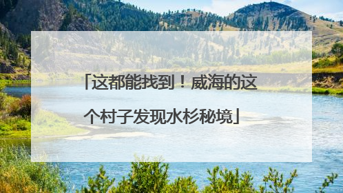 这都能找到！威海的这个村子发现水杉秘境