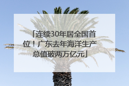 连续30年居全国首位！广东去年海洋生产总值破两万亿元